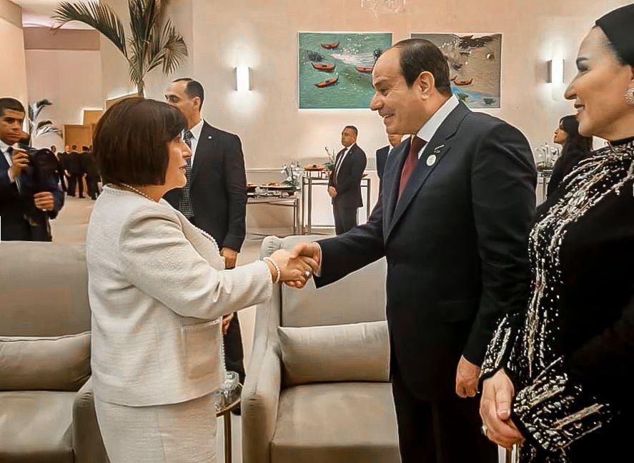 Спикер Азербайджана в Каире